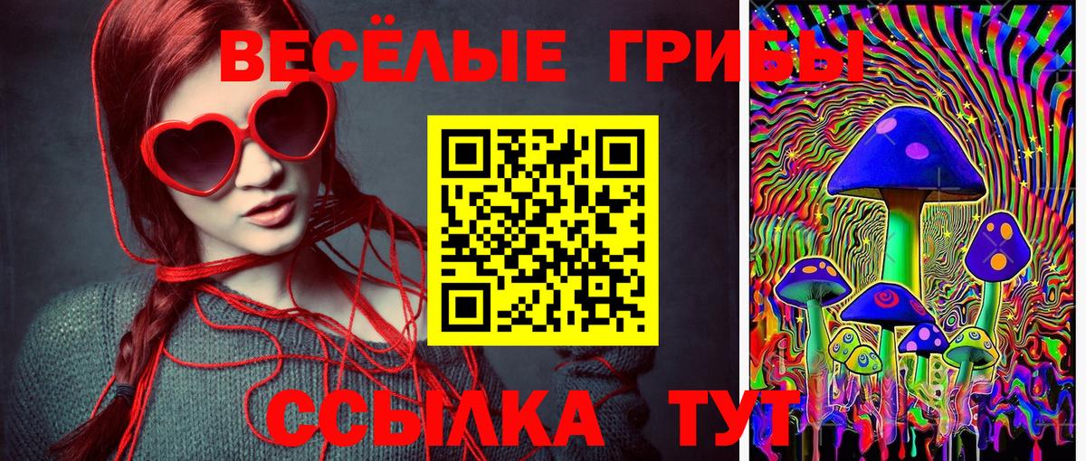 Псилоцибиновые грибы MAGIC MUSHROOMS  Псилоцибиновые грибы прущие грибы  Вход с VPN  Дедовск 